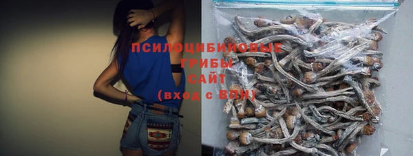 эйфоретик Арсеньев