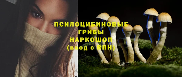 ECSTASY Аркадак