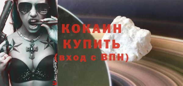 дживик Пестово