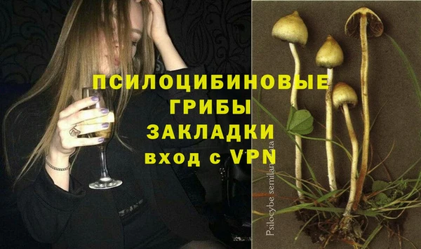 эйфоретик Арсеньев